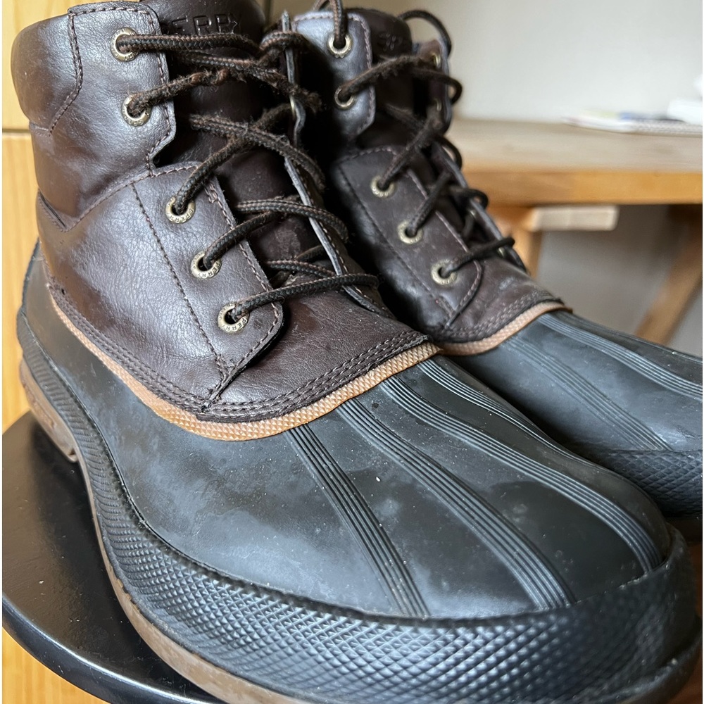 Sperry boots men